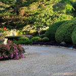 Not Sexy, but Good Nickel Knowledge About Asphalt Paving…