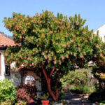 Landscape Nickel Knowledge Tips